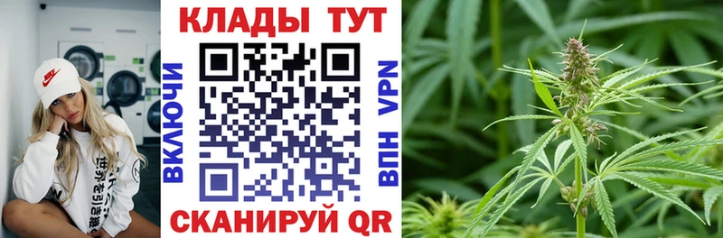 Виды наркотиков купить Кондрово Кетамин МЕФ ГЕРОИН Гашиш APVP Конопля