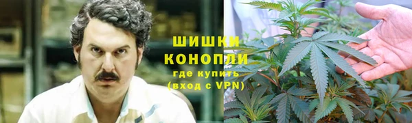 каннабис Богданович