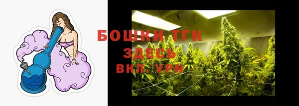 кокс Богородицк